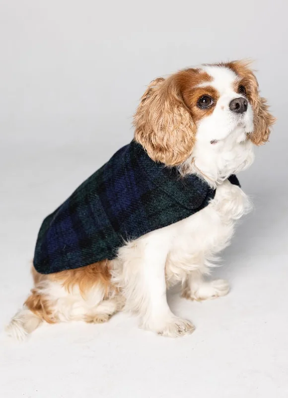 elegant wool cape for women -Harris Tweed Dog Coat - Black Watch