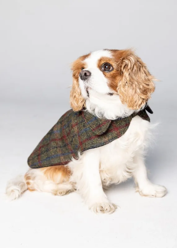 stylish fleece-lined coat for women -Harris Tweed Dog Coat - Brown Mix Check