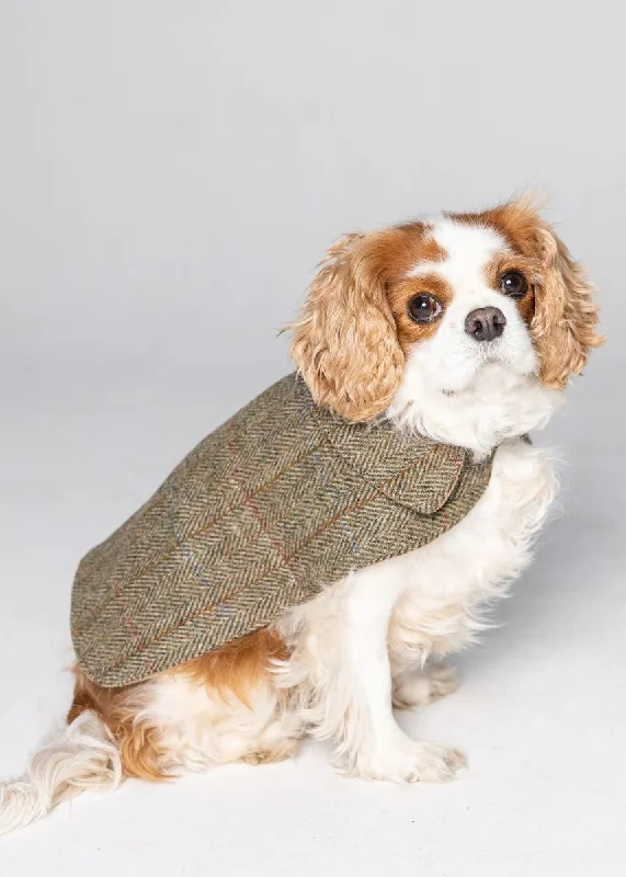 cozy oversized wrap coat for women -Harris Tweed Dog Coat - Green Herringbone