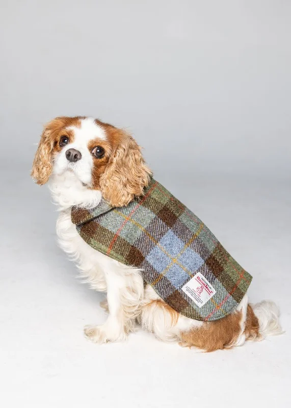 stylish knitted jacket for women -Harris Tweed Dog Coat - Green/Blue Macleod Check